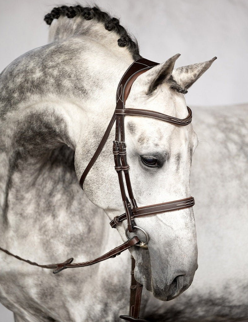 PS of Sweden Bridle Ocala - PS of Sweden - Equiluxe Tack
