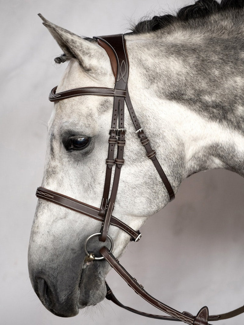 PS of Sweden Bridle Ocala - PS of Sweden - Equiluxe Tack