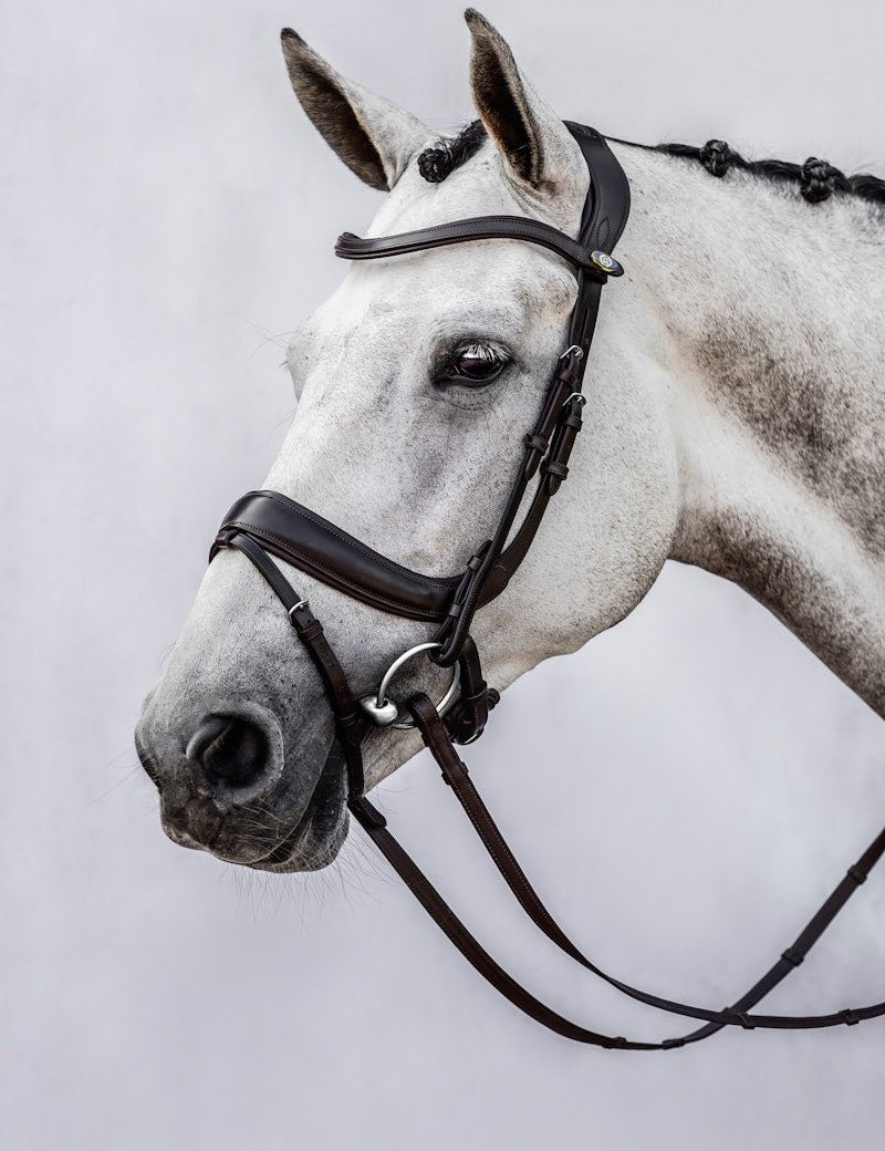 PS of Sweden Bridle Paladin - PS of Sweden - Equiluxe Tack