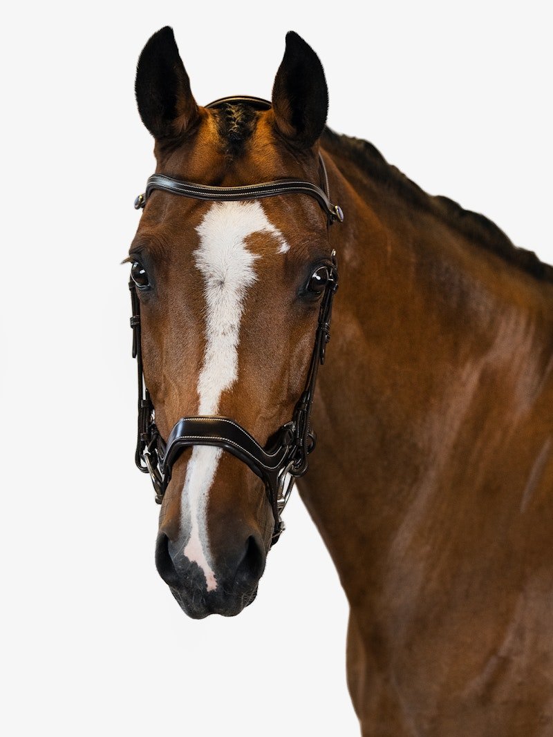 PS of Sweden Bridle Pioneer - PS of Sweden - Equiluxe Tack