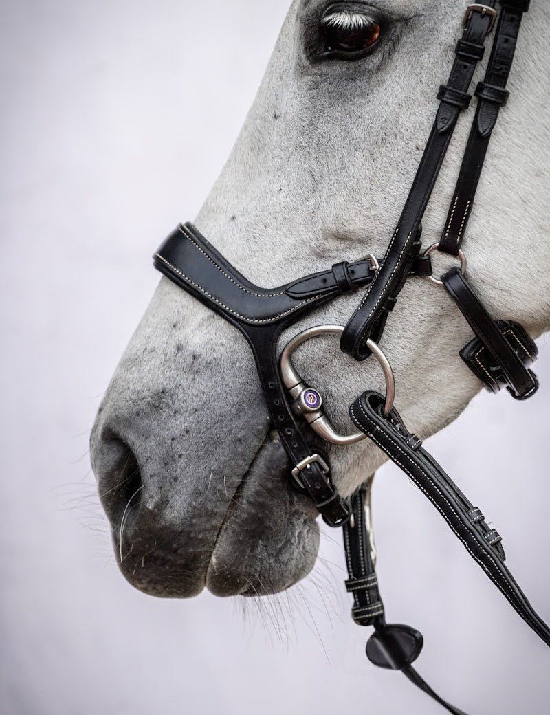 PS of Sweden Bridle Pioneer - PS of Sweden - Equiluxe Tack