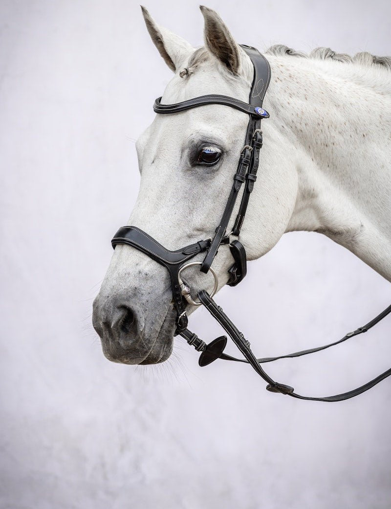 PS of Sweden Bridle Pioneer - PS of Sweden - Equiluxe Tack