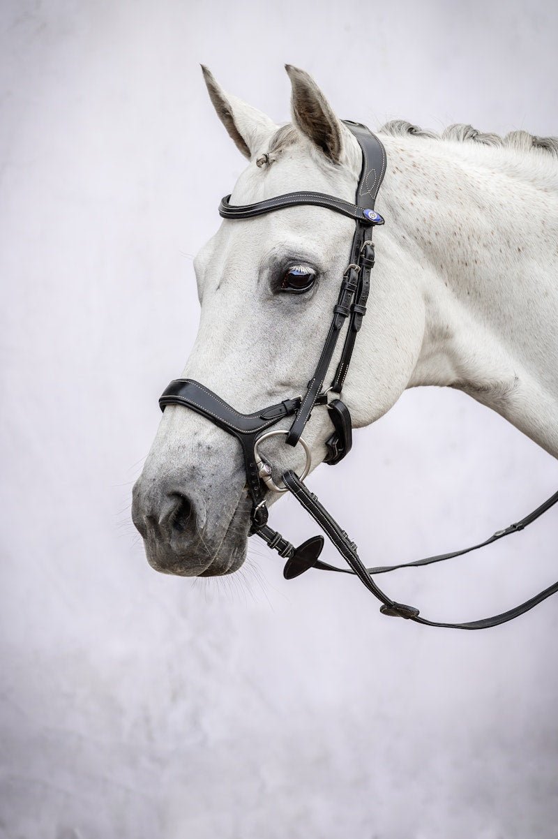 PS of Sweden Bridle Pioneer - PS of Sweden - Equiluxe Tack