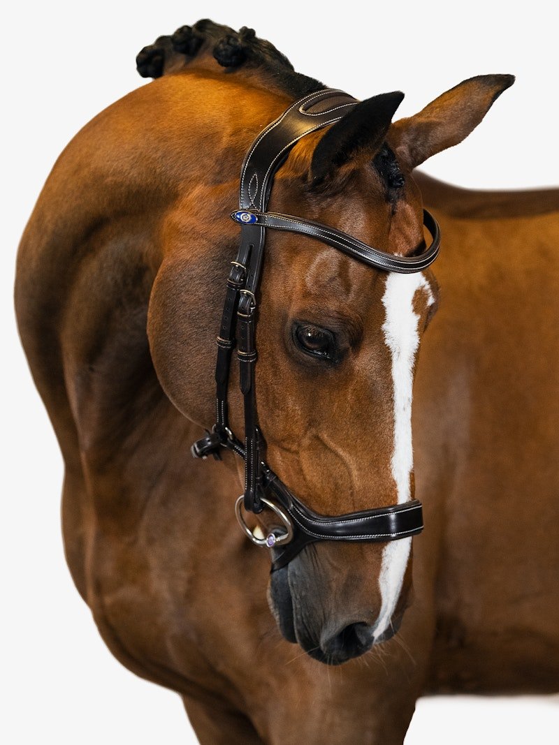 PS of Sweden Bridle Pioneer - PS of Sweden - Equiluxe Tack
