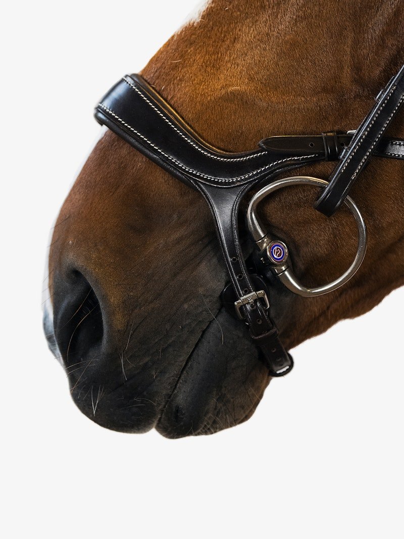 PS of Sweden Bridle Pioneer - PS of Sweden - Equiluxe Tack