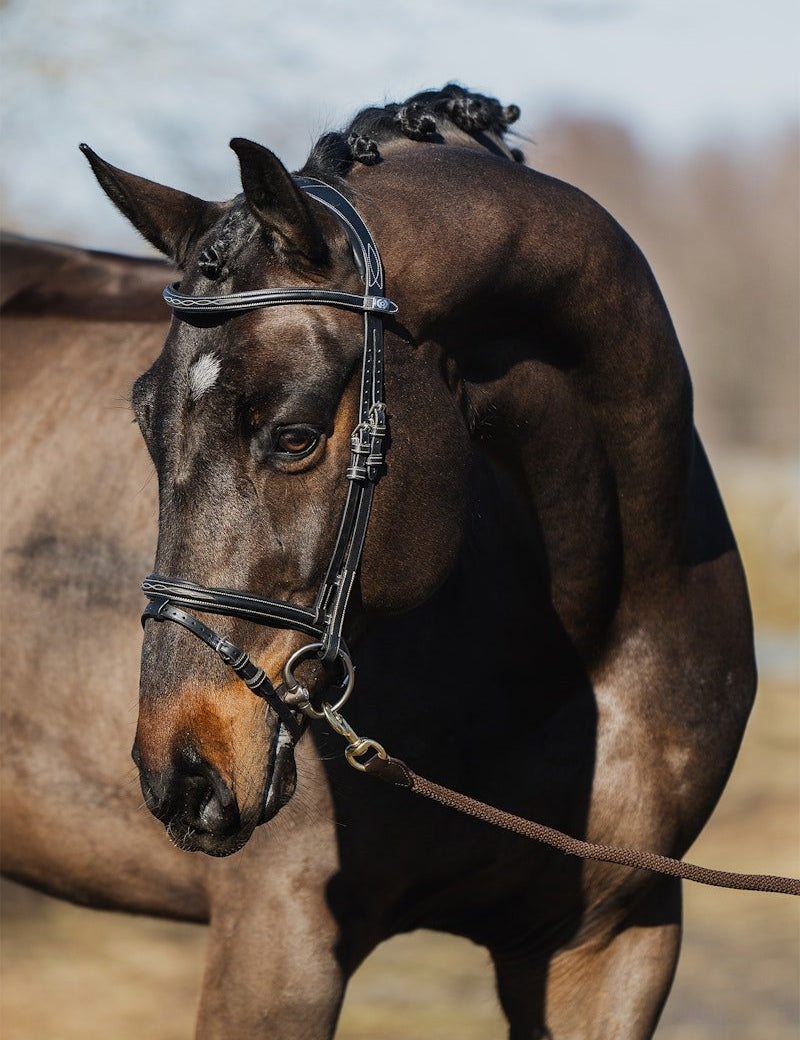 PS of Sweden Bridle Stockholm - PS of Sweden - Equiluxe Tack