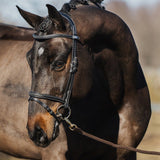 PS of Sweden Bridle Stockholm - PS of Sweden - Equiluxe Tack
