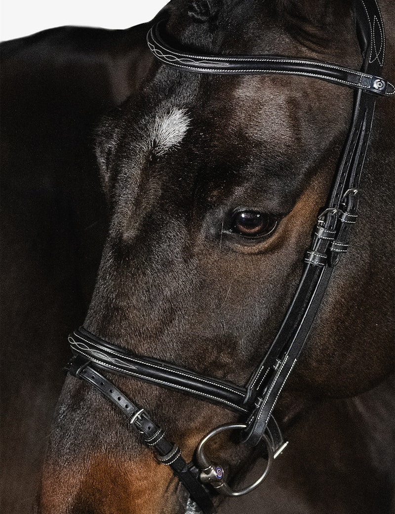 PS of Sweden Bridle Stockholm - PS of Sweden - Equiluxe Tack
