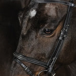 PS of Sweden Bridle Stockholm - PS of Sweden - Equiluxe Tack