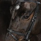 PS of Sweden Bridle Stockholm - PS of Sweden - Equiluxe Tack