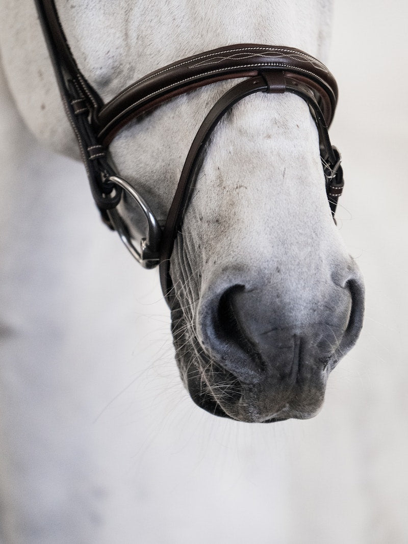 PS of Sweden Bridle Stockholm - PS of Sweden - Equiluxe Tack