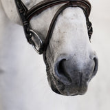 PS of Sweden Bridle Stockholm - PS of Sweden - Equiluxe Tack