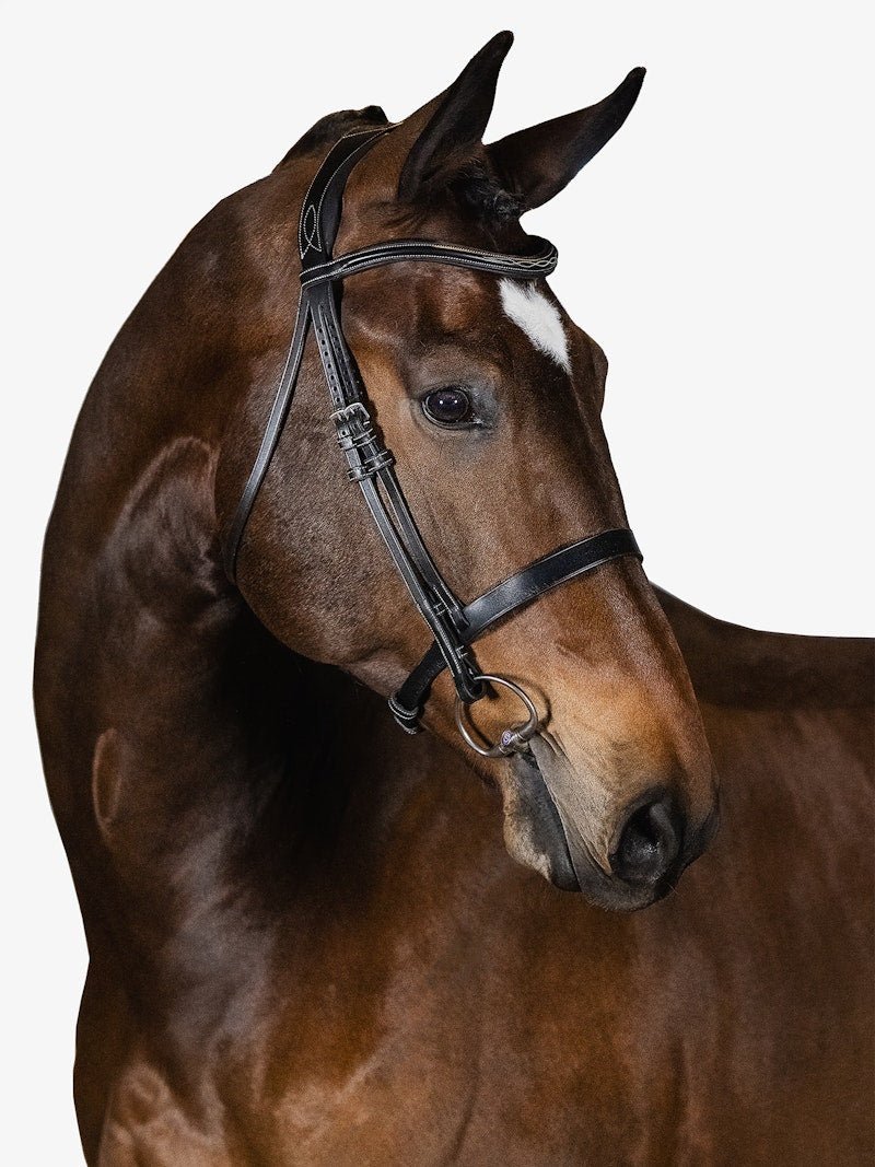 PS of Sweden Bridle Wellington - PS of Sweden - Equiluxe Tack