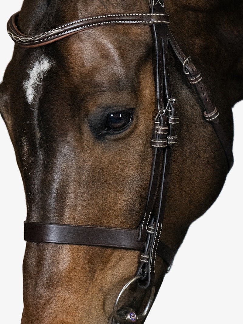 PS of Sweden Bridle Wellington - PS of Sweden - Equiluxe Tack