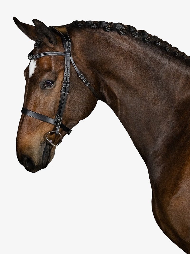 PS of Sweden Bridle Wellington - PS of Sweden - Equiluxe Tack