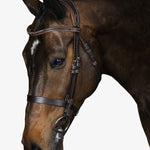 PS of Sweden Bridle Wellington - PS of Sweden - Equiluxe Tack