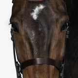 PS of Sweden Bridle Wellington - PS of Sweden - Equiluxe Tack