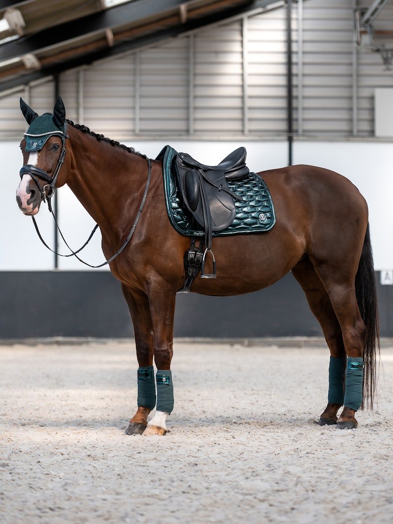PS of Sweden Dazzling Metallic Saddle Pad Dressage - Mystique Green - PS of Sweden - Equiluxe Tack