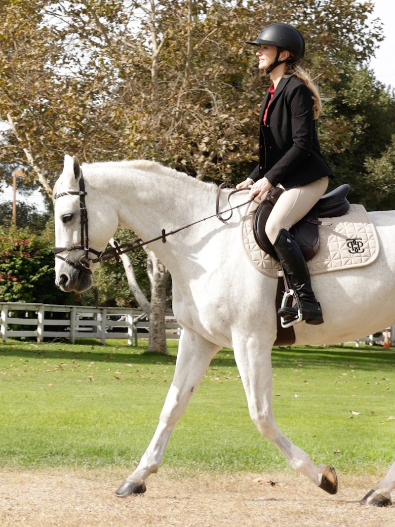 PS of Sweden Diamond Quilt Jumping Saddle Pad - Latte - PS of Sweden - Equiluxe Tack