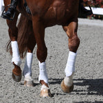 PS of Sweden Dinja x PS Brushing Boots - PS of Sweden - Equiluxe Tack