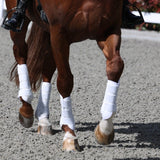 PS of Sweden Dinja x PS Brushing Boots - PS of Sweden - Equiluxe Tack