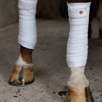 PS of Sweden Dinja x PS Polos - PS of Sweden - Equiluxe Tack