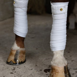 PS of Sweden Dinja x PS Polos - PS of Sweden - Equiluxe Tack