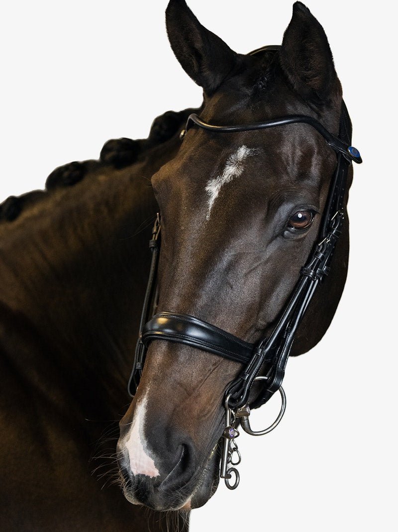 PS of Sweden Double Bridle Paragon - PS of Sweden - Equiluxe Tack