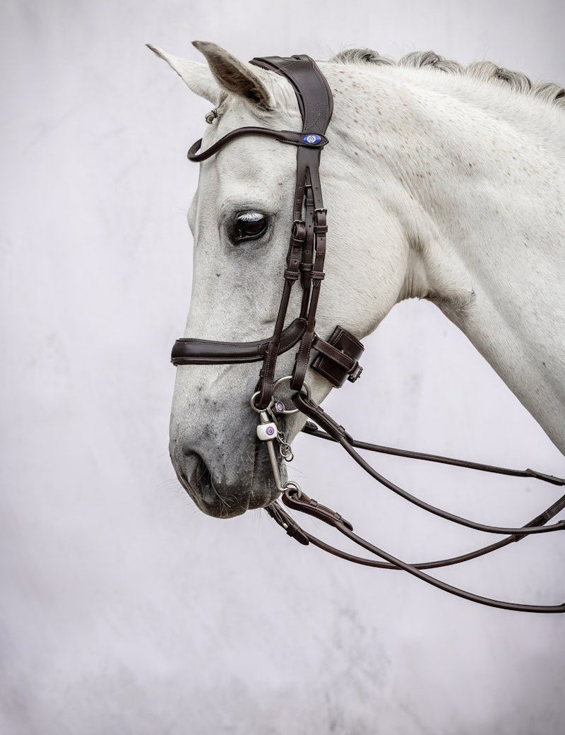 PS of Sweden Double Bridle Paragon - PS of Sweden - Equiluxe Tack
