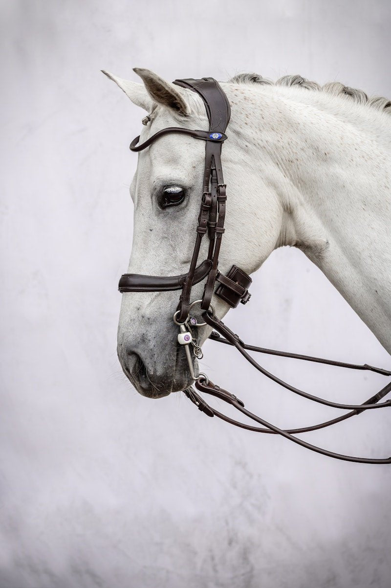PS of Sweden Double Bridle Paragon - PS of Sweden - Equiluxe Tack