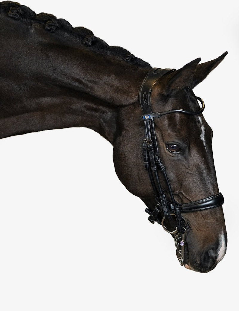 PS of Sweden Double Bridle Paragon - PS of Sweden - Equiluxe Tack