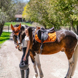 PS of Sweden Fly Hat Signature - Rust Brown - PS of Sweden - Equiluxe Tack