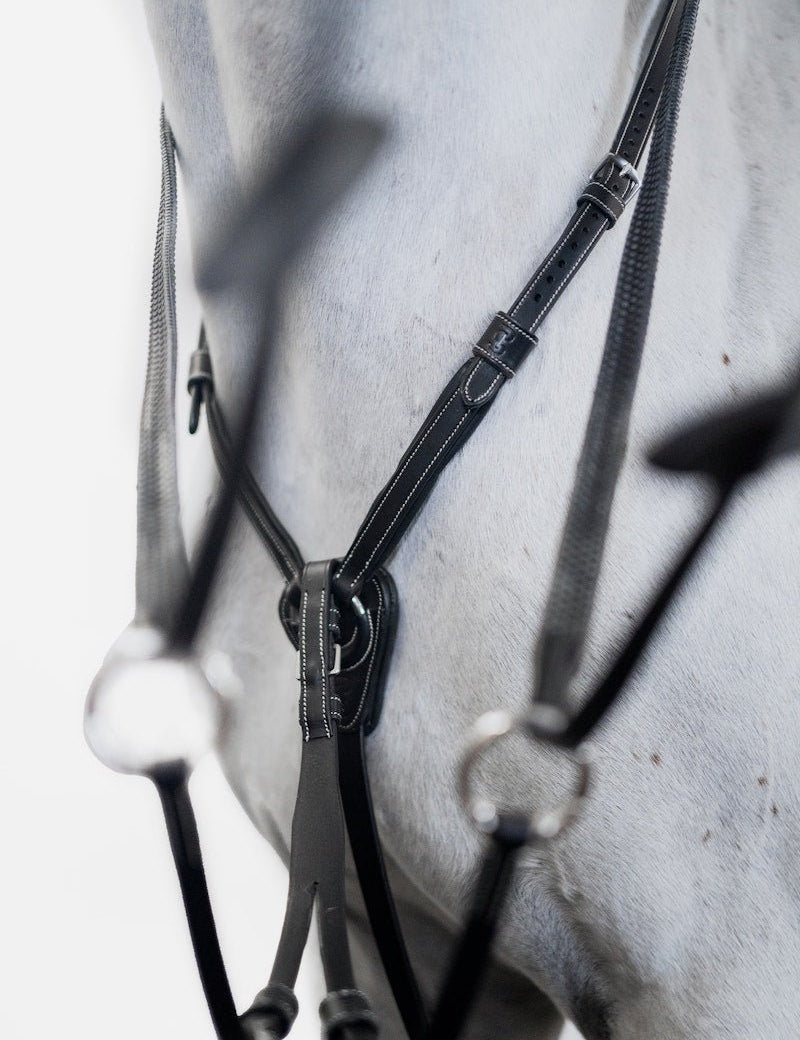 PS of Sweden Martingale Seoul - PS of Sweden - Equiluxe Tack