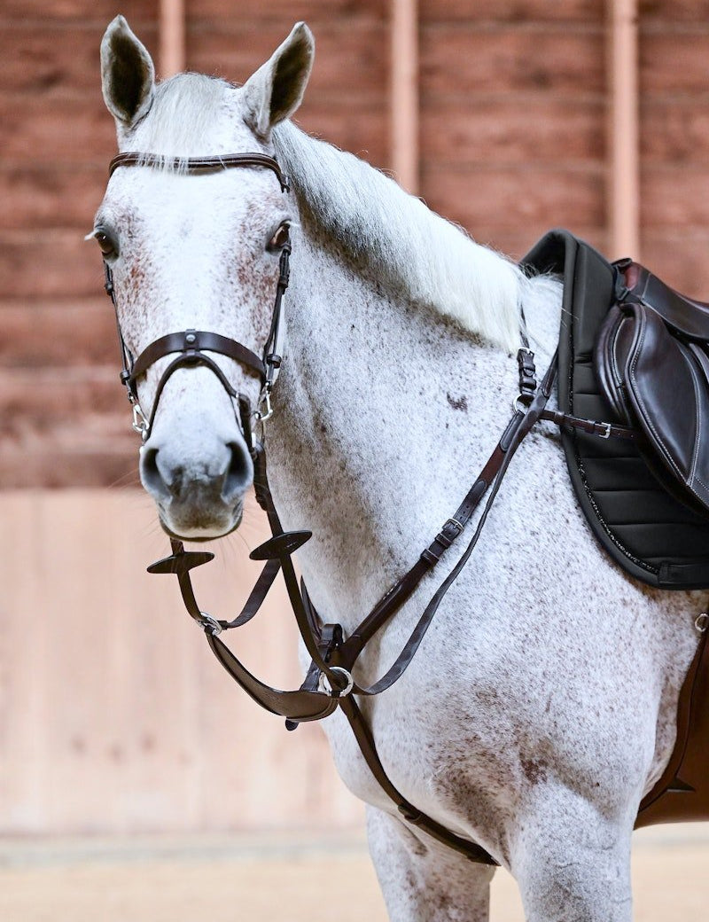 PS of Sweden Mexico Breastplate - PS of Sweden - Equiluxe Tack