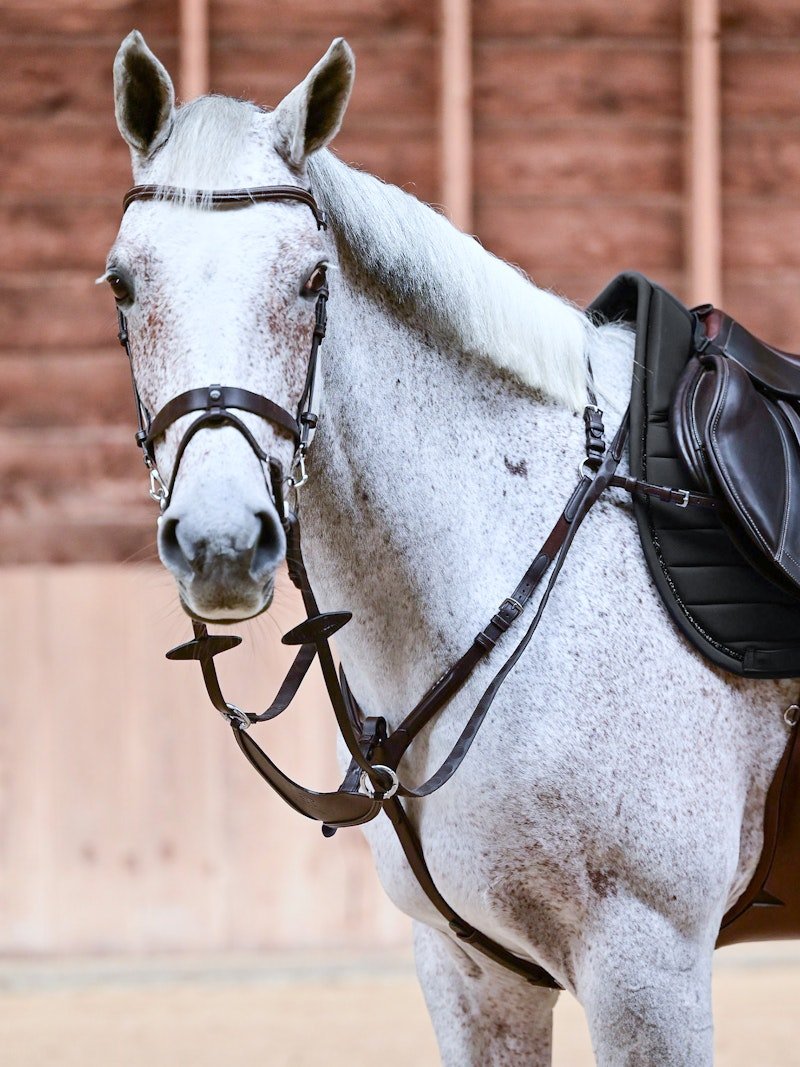 PS of Sweden Mexico Breastplate - PS of Sweden - Equiluxe Tack
