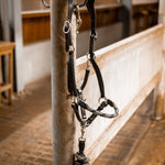 PS of Sweden Palermo Leather Halter - PS of Sweden - Equiluxe Tack