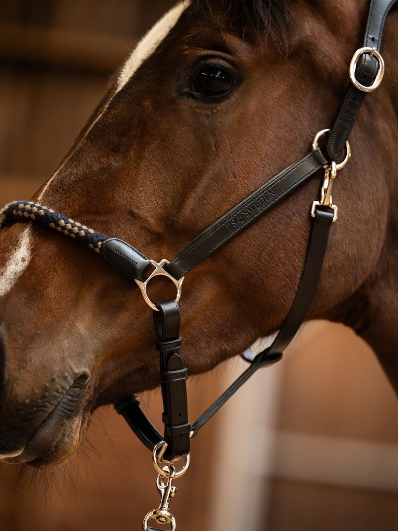 PS of Sweden Palermo Leather Halter - PS of Sweden - Equiluxe Tack