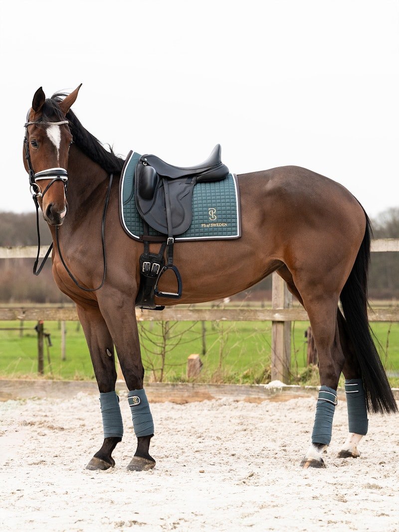 PS of Sweden Polos Elite Edge - Storm Blue - PS of Sweden - Equiluxe Tack