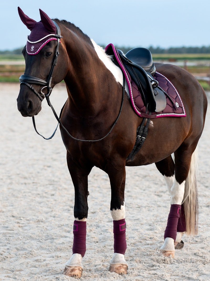 PS of Sweden Polos Signature - Plum - PS of Sweden - Equiluxe Tack