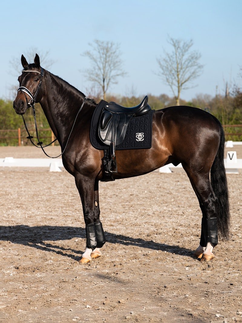 PS of Sweden Premium Training Front Boots 2 - pack - Black - PS of Sweden - Equiluxe Tack