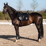 PS of Sweden Premium Training Front Boots 2 - pack - Black - PS of Sweden - Equiluxe Tack