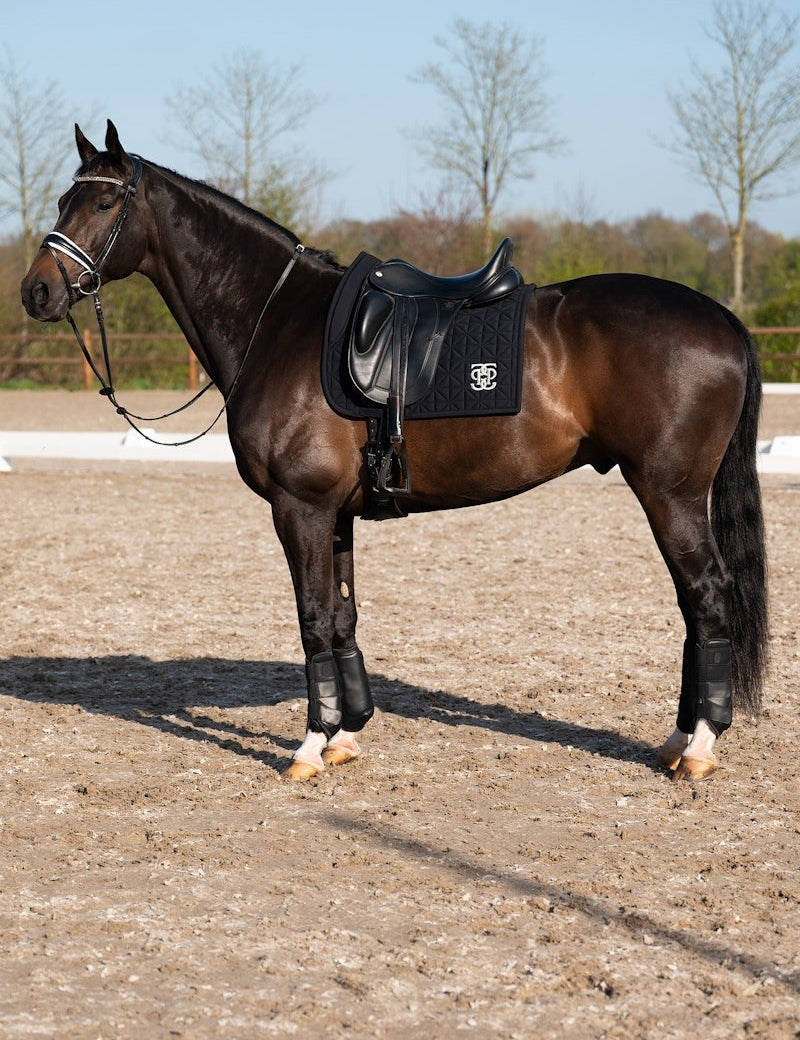 PS of Sweden Premium Training Hind Boots 2 - pack - Black - PS of Sweden - Equiluxe Tack