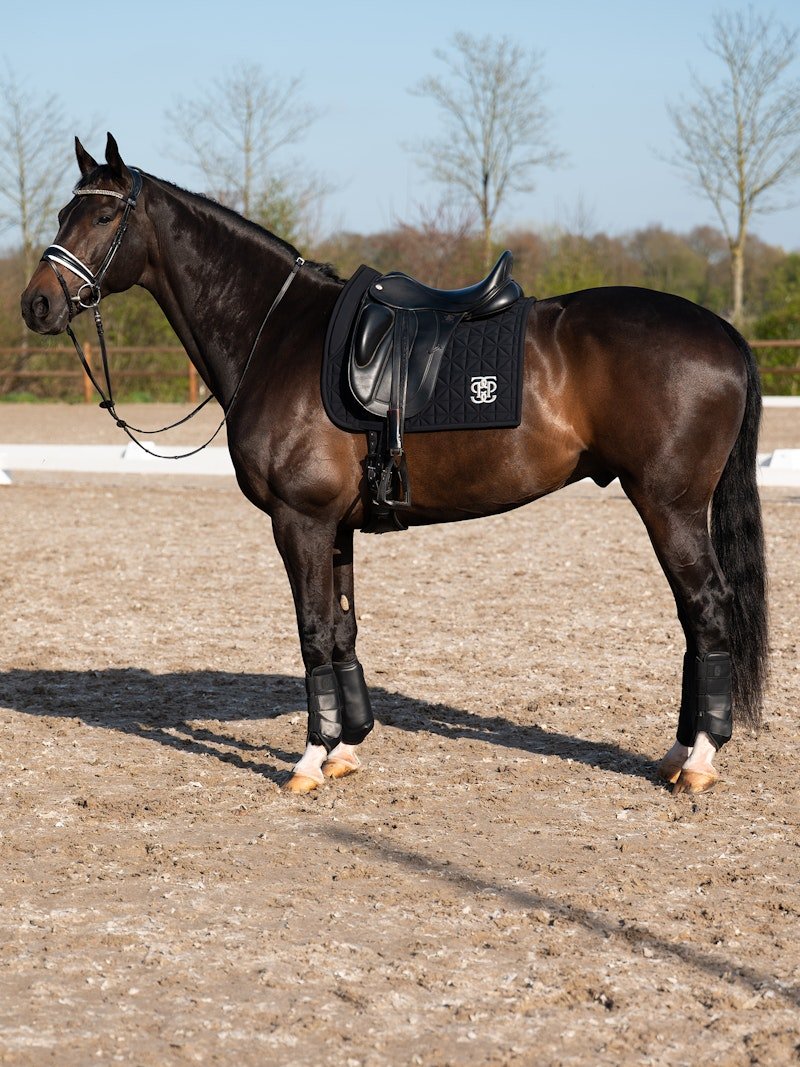 PS of Sweden Premium Training Hind Boots 2 - pack - Black - PS of Sweden - Equiluxe Tack