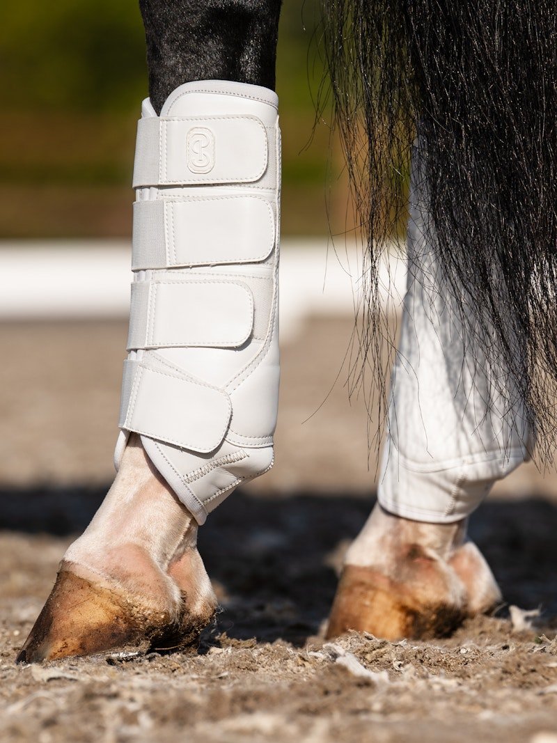 PS of Sweden Premium Training Hind Boots 2 - pack - White - PS of Sweden - Equiluxe Tack