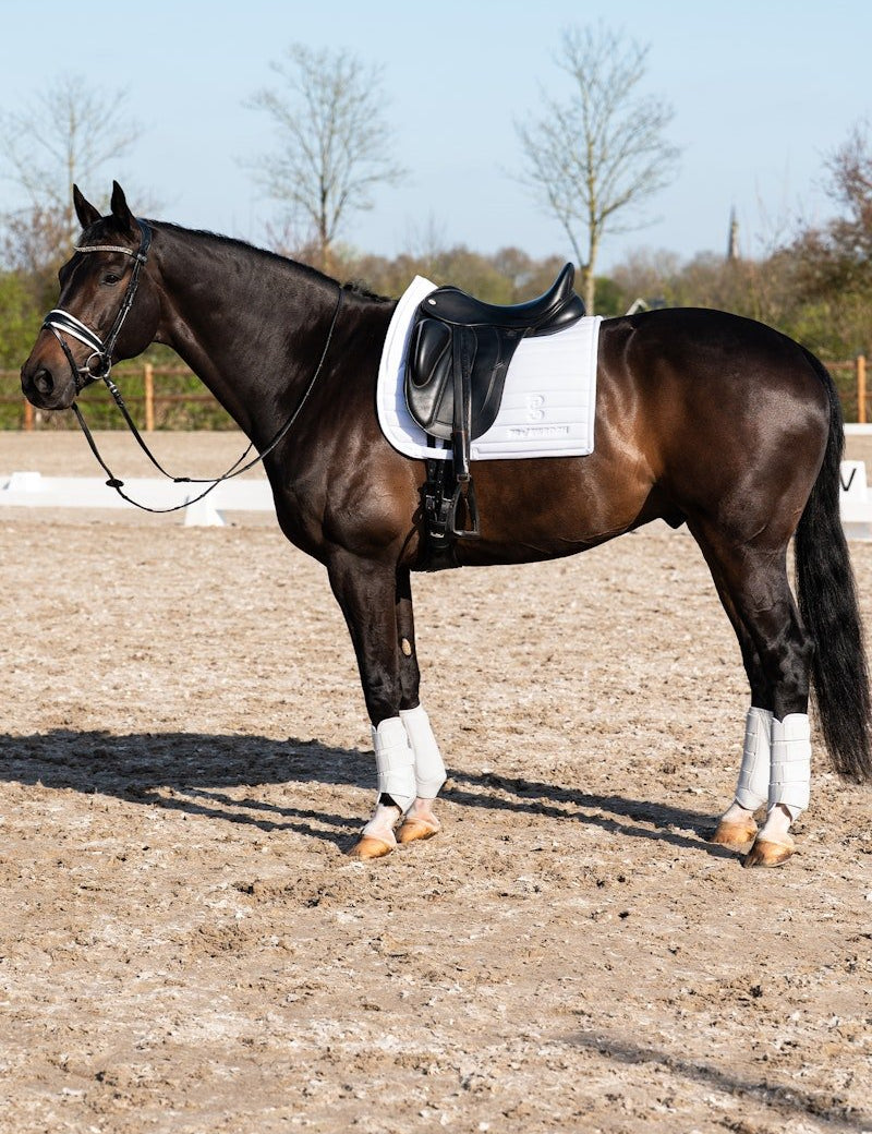 PS of Sweden Premium Training Hind Boots 2 - pack - White - PS of Sweden - Equiluxe Tack