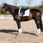 PS of Sweden Premium Training Hind Boots 2 - pack - White - PS of Sweden - Equiluxe Tack