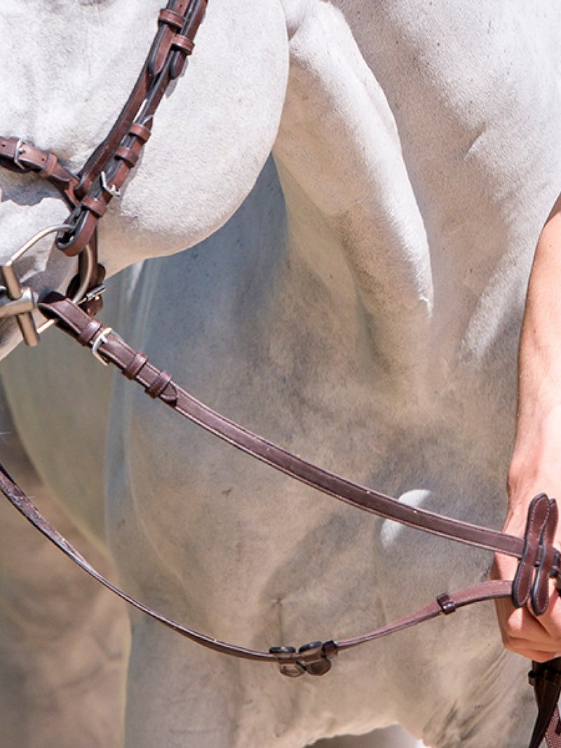 PS of Sweden Reins by HvE (Henrik von Eckermann) - PS of Sweden - Equiluxe Tack