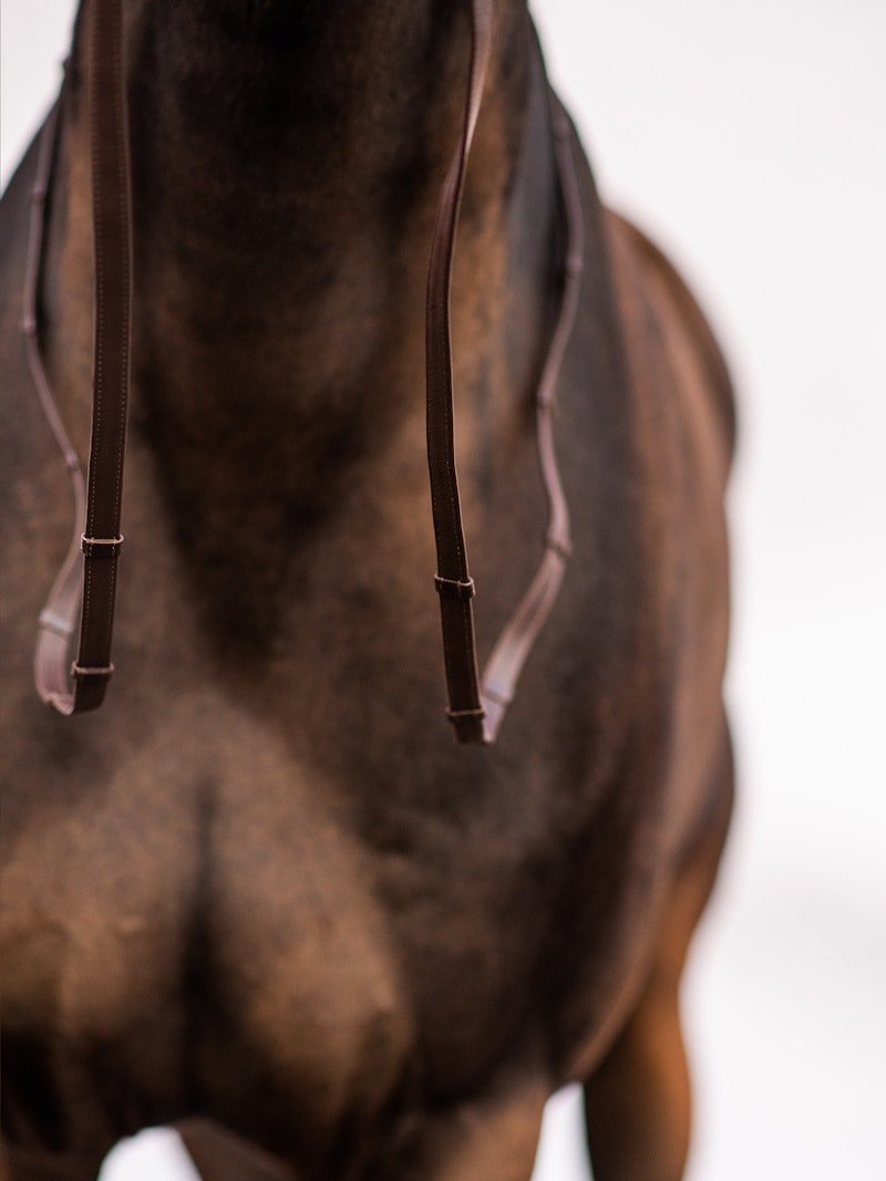 PS of Sweden Reins Softy - PS of Sweden - Equiluxe Tack