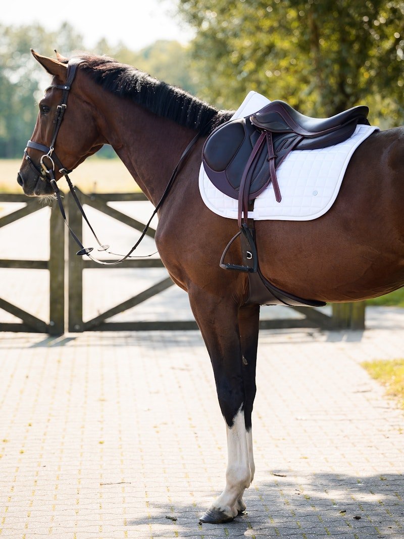 PS of Sweden Saddle Pad Classic Quilt Jump - White - PS of Sweden - Equiluxe Tack
