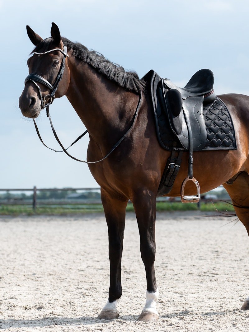 PS of Sweden Saddle Pad Heart Dressage - Black - PS of Sweden - Equiluxe Tack